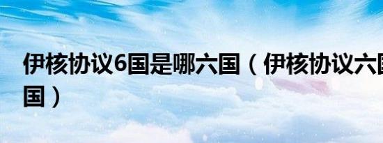 伊核协议6国是哪六国（伊核协议六国是哪六国）