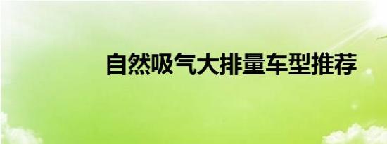 自然吸气大排量车型推荐