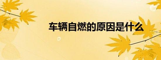 车辆自燃的原因是什么