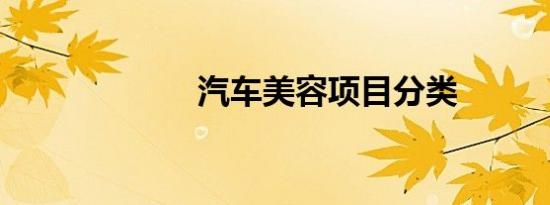 汽车美容项目分类
