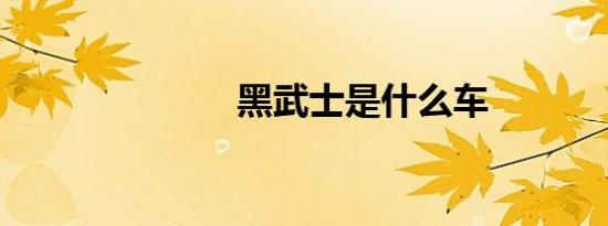 黑武士是什么车