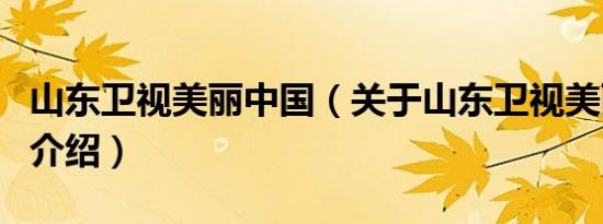 山东卫视美丽中国（关于山东卫视美丽中国的介绍）