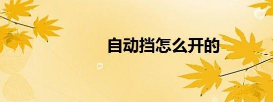 自动挡怎么开的