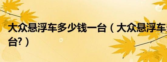 大众悬浮车多少钱一台（大众悬浮车多少钱一台?）