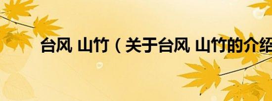 台风 山竹（关于台风 山竹的介绍）
