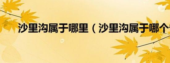 沙里沟属于哪里（沙里沟属于哪个省）