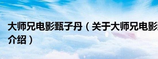 大师兄电影甄子丹（关于大师兄电影甄子丹的介绍）