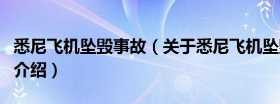 悉尼飞机坠毁事故（关于悉尼飞机坠毁事故的介绍）