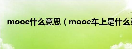 mooe什么意思（mooe车上是什么意思）