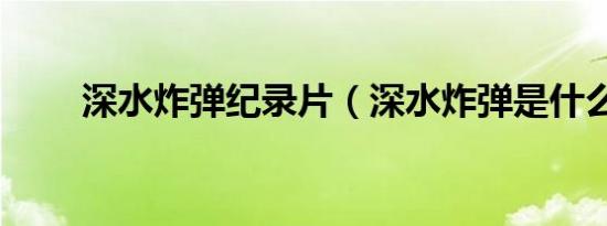 深水炸弹纪录片（深水炸弹是什么）