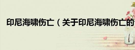 印尼海啸伤亡（关于印尼海啸伤亡的介绍）