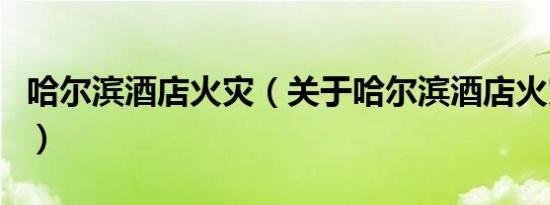 哈尔滨酒店火灾（关于哈尔滨酒店火灾的介绍）