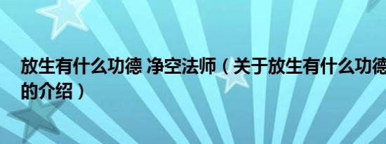 放生有什么功德 净空法师（关于放生有什么功德 净空法师的介绍）