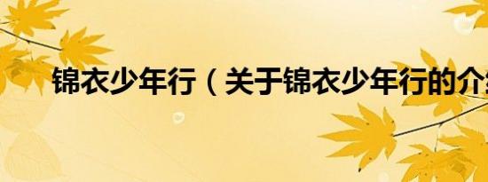 锦衣少年行（关于锦衣少年行的介绍）