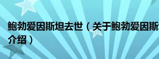鲍勃爱因斯坦去世（关于鲍勃爱因斯坦去世的介绍）