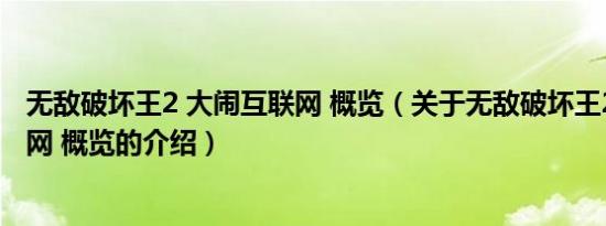 无敌破坏王2 大闹互联网 概览（关于无敌破坏王2 大闹互联网 概览的介绍）