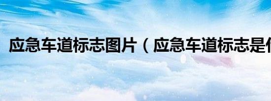 应急车道标志图片（应急车道标志是什么?）