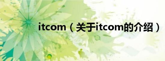 itcom（关于itcom的介绍）