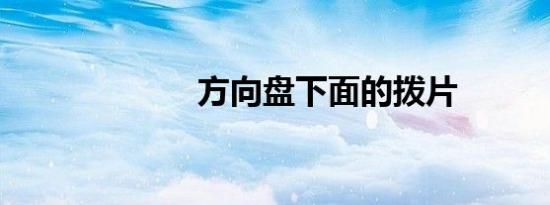 方向盘下面的拨片
