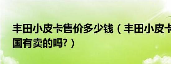 丰田小皮卡售价多少钱（丰田小皮卡16万中国有卖的吗?）