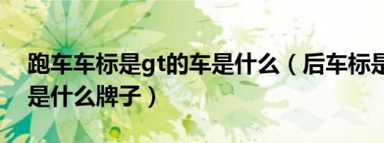 跑车车标是gt的车是什么（后车标是gt跑车是什么牌子）
