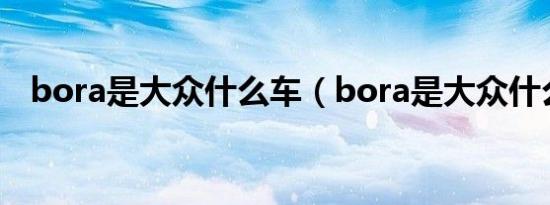 bora是大众什么车（bora是大众什么车）
