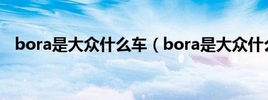 bora是大众什么车（bora是大众什么车）