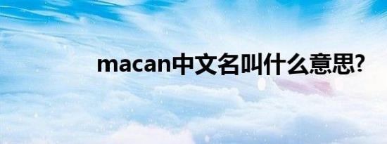 macan中文名叫什么意思?