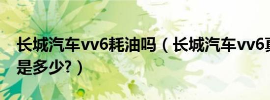 长城汽车vv6耗油吗（长城汽车vv6真实油耗是多少?）