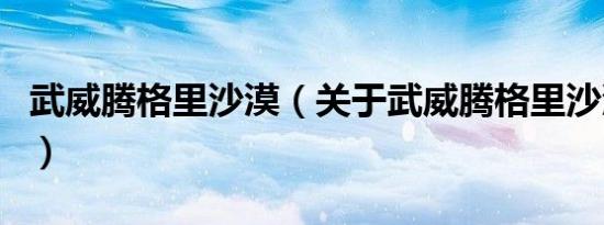 武威腾格里沙漠（关于武威腾格里沙漠的介绍）