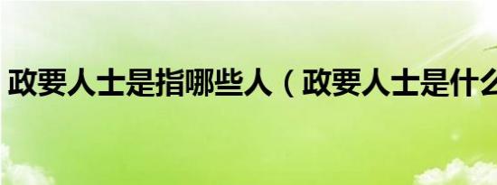 政要人士是指哪些人（政要人士是什么意思）