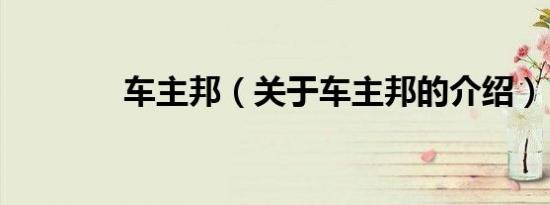 车主邦（关于车主邦的介绍）