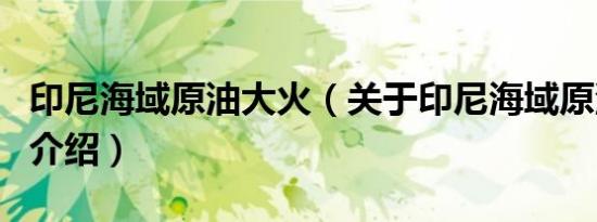 印尼海域原油大火（关于印尼海域原油大火的介绍）