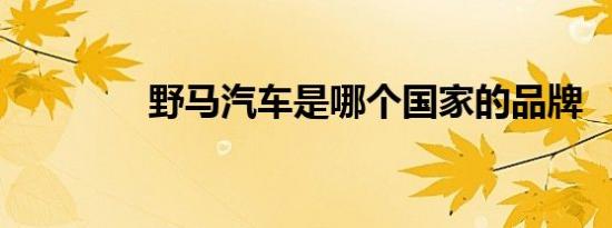 野马汽车是哪个国家的品牌
