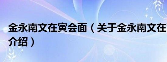 金永南文在寅会面（关于金永南文在寅会面的介绍）