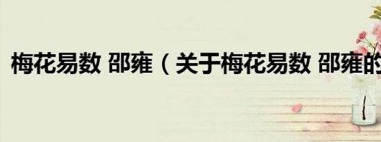 梅花易数 邵雍（关于梅花易数 邵雍的介绍）