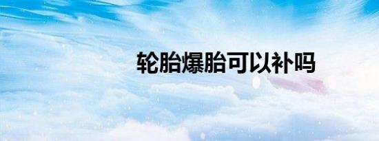 轮胎爆胎可以补吗