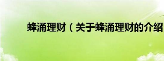 蜂涌理财（关于蜂涌理财的介绍）