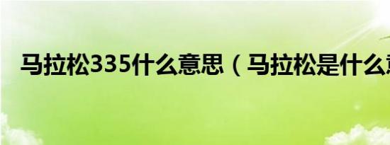 马拉松335什么意思（马拉松是什么意思）