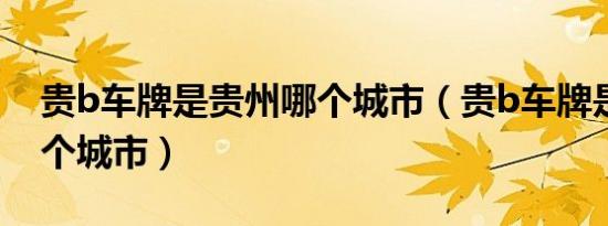 贵b车牌是贵州哪个城市（贵b车牌是贵州哪个城市）