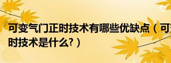 可变气门正时技术有哪些优缺点（可变气门正时技术是什么?）