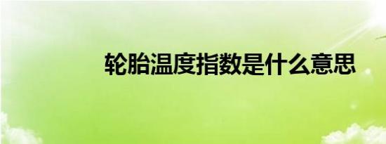 轮胎温度指数是什么意思
