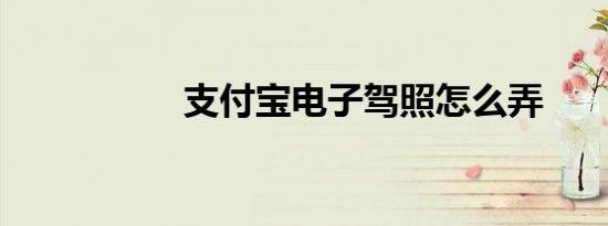 支付宝电子驾照怎么弄