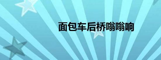 面包车后桥嗡嗡响