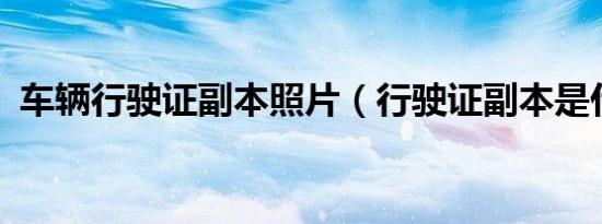 车辆行驶证副本照片（行驶证副本是什么?）