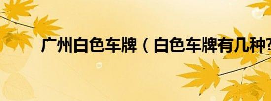 广州白色车牌（白色车牌有几种?）
