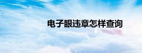 电子眼违章怎样查询