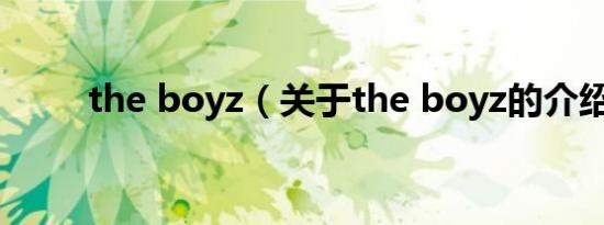 the boyz（关于the boyz的介绍）