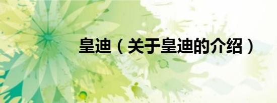 皇迪（关于皇迪的介绍）