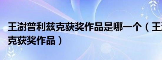 王澍普利兹克获奖作品是哪一个（王澍普利兹克获奖作品）